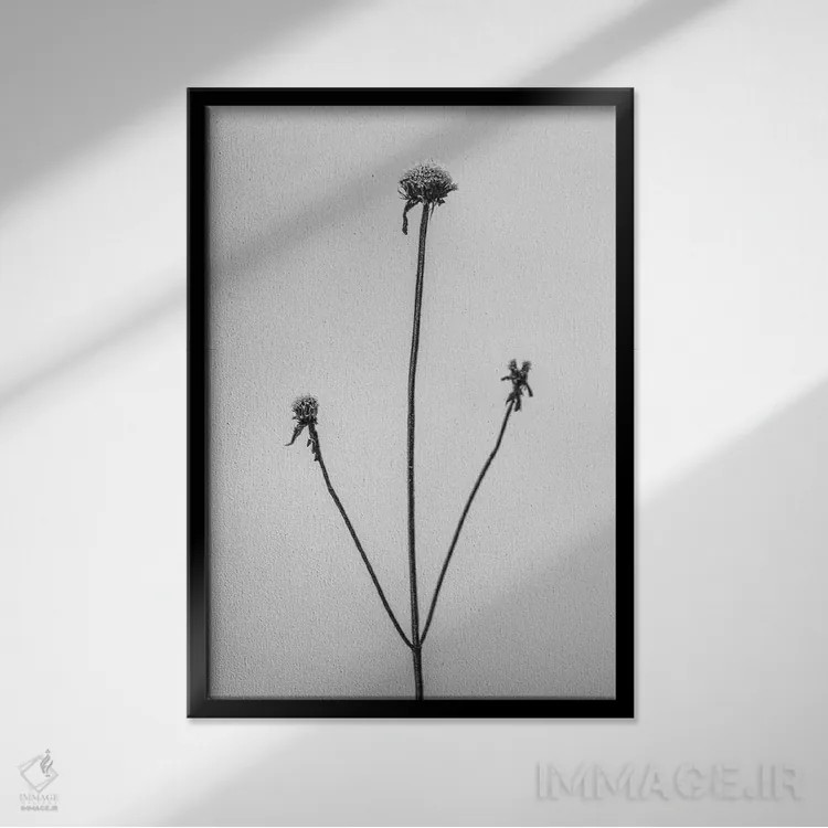 تابلو دکوراتیو در میان گل ها دوازده اثر تیس آلبرس - نمای قابدار مشکی