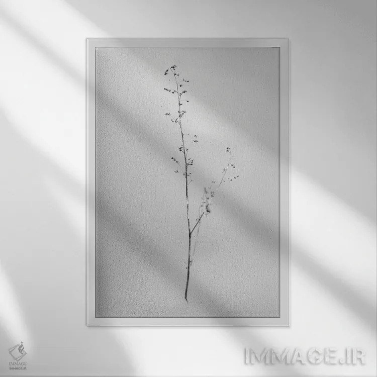تابلو دکوراتیو در میان گل ها هفت اثر تیس آلبرس - نمای قابدار سفید