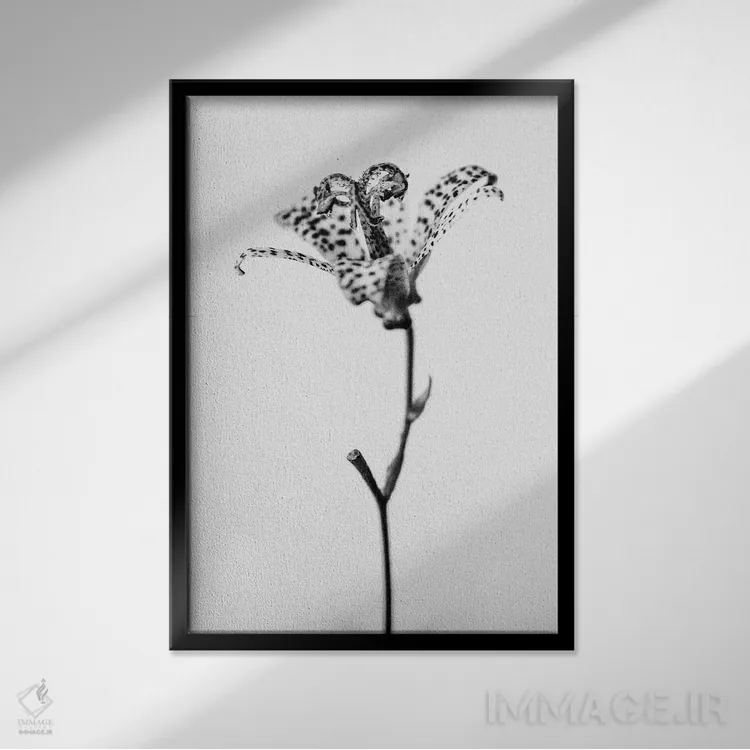 تابلو دکوراتیو در میان گل ها نوزده اثر تیس آلبرس - نمای قابدار مشکی