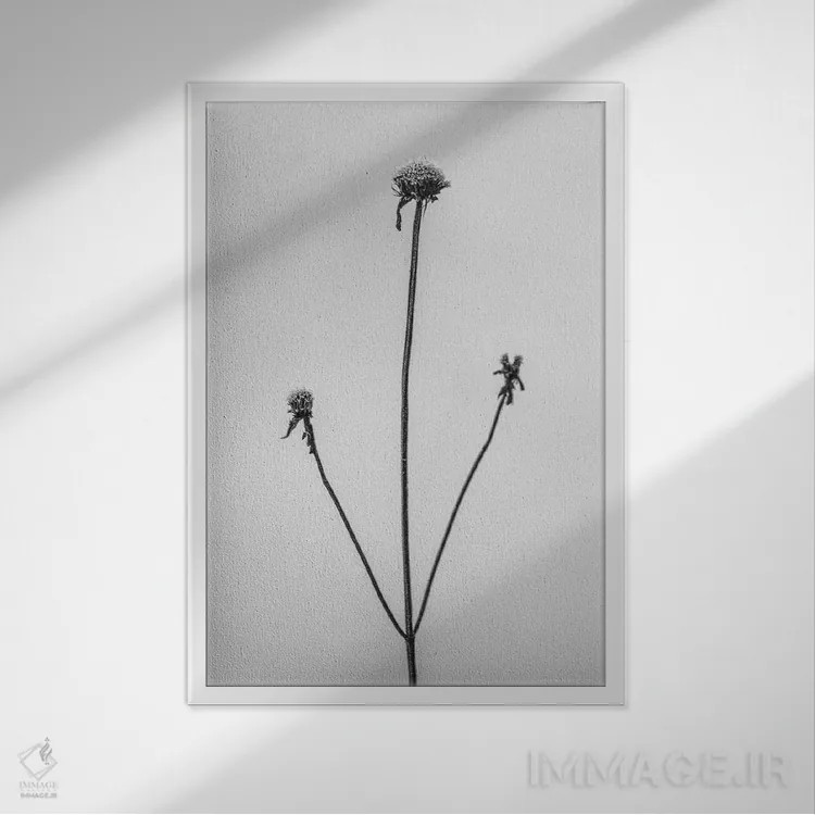 تابلو دکوراتیو در میان گل ها دوازده اثر تیس آلبرس - نمای قابدار سفید