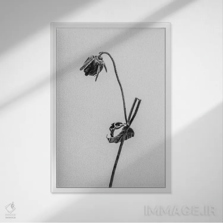 تابلو دکوراتیو در میان گل ها هفده اثر تیس آلبرس - نمای قابدار سفید