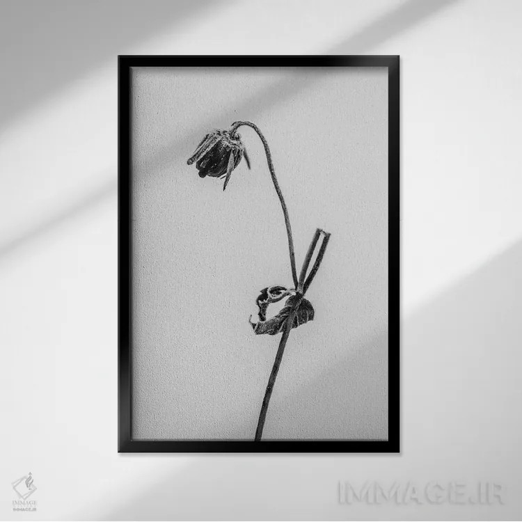 تابلو دکوراتیو در میان گل ها هفده اثر تیس آلبرس - نمای قابدار مشکی