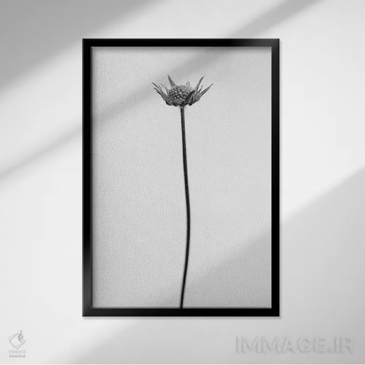 تابلو دکوراتیو در میان گل ها بیست و دو اثر تیس آلبرس - نمای قابدار مشکی