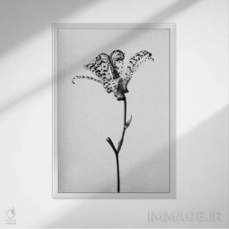 تابلو دکوراتیو در میان گل ها نوزده اثر تیس آلبرس - نمای قابدار سفید