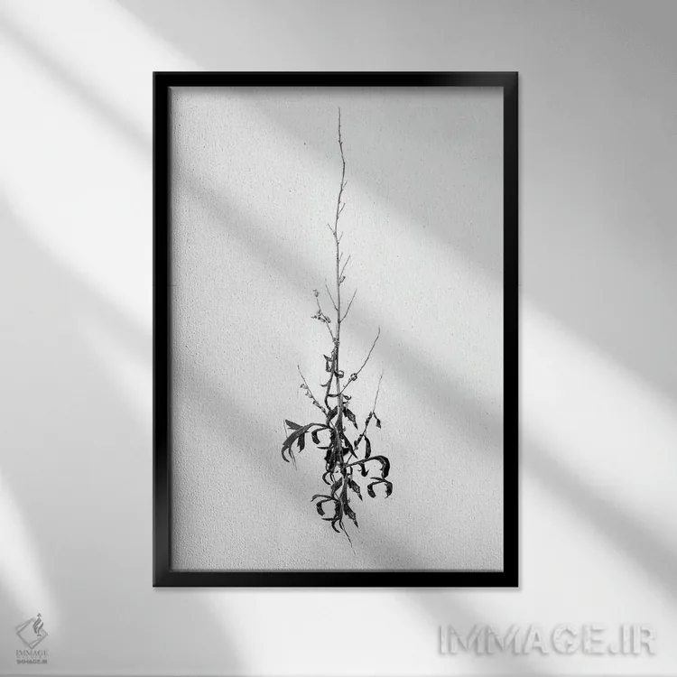 تابلو دکوراتیو در میان گل ها چهار اثر تیس آلبرس - نمای قابدار مشکی