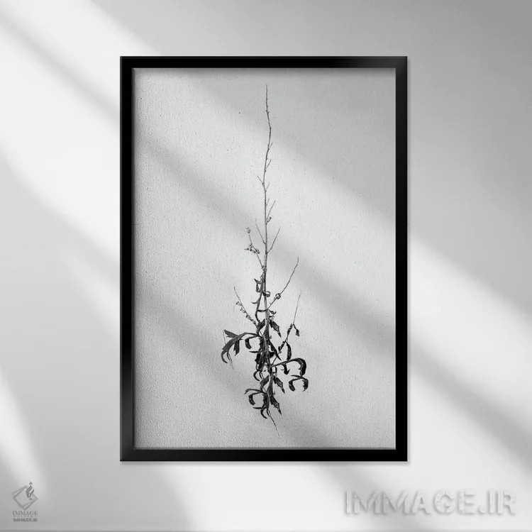 تابلو دکوراتیو در میان گل ها چهار اثر تیس آلبرس - نمای قابدار مشکی