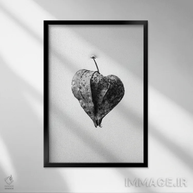 تابلو دکوراتیو در میان گل ها پنج اثر تیس آلبرس - نمای قابدار مشکی