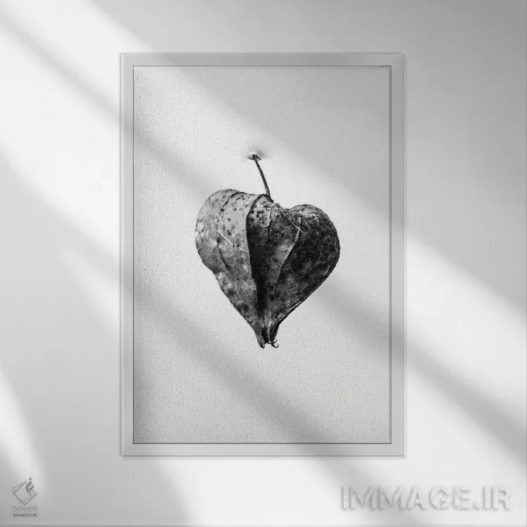 تابلو دکوراتیو در میان گل ها پنج اثر تیس آلبرس - نمای قابدار سفید