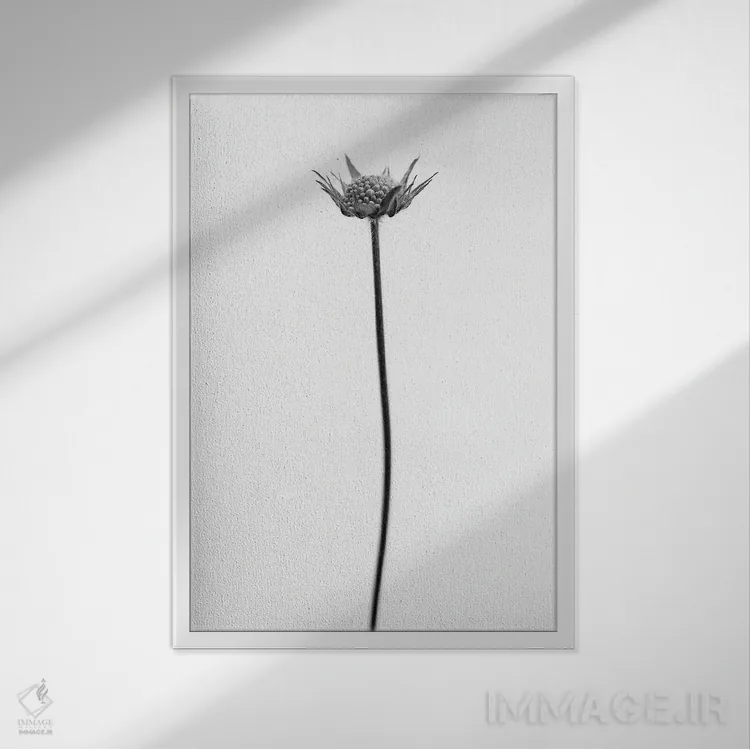 تابلو دکوراتیو در میان گل ها بیست و دو اثر تیس آلبرس - نمای قابدار سفید