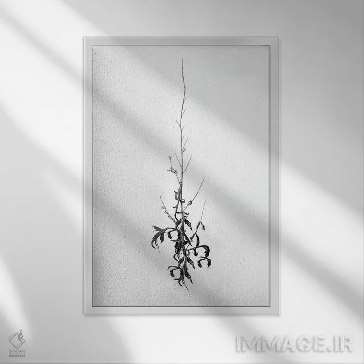 تابلو دکوراتیو در میان گل ها چهار اثر تیس آلبرس - نمای قابدار سفید
