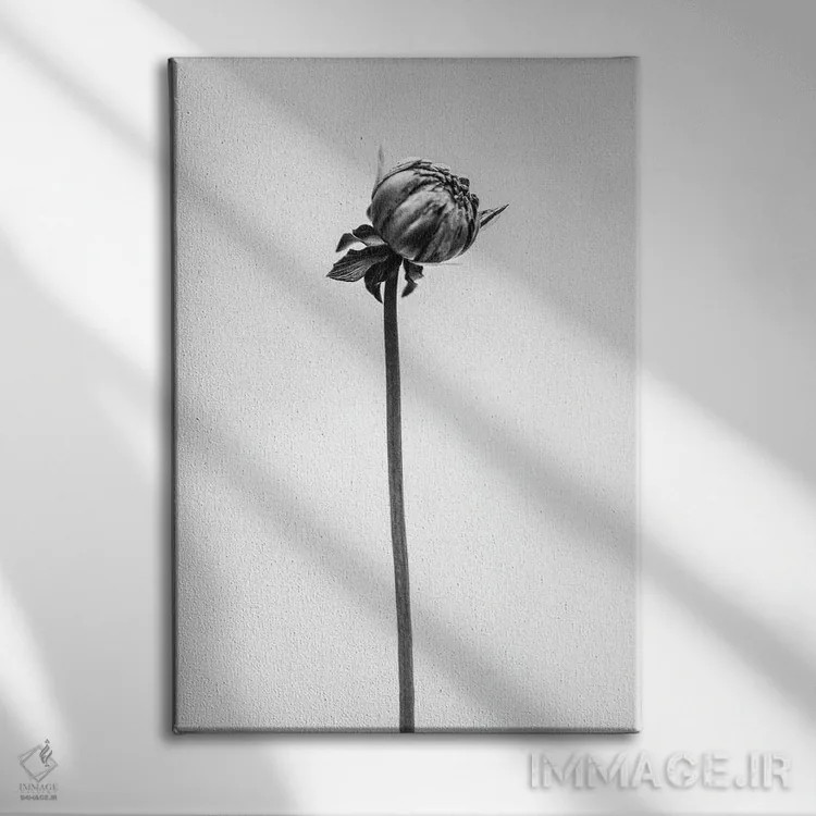 تابلو دکوراتیو در میان گل ها بیست و شش اثر تیس آلبرس - نمای روبهرو روی دیوار