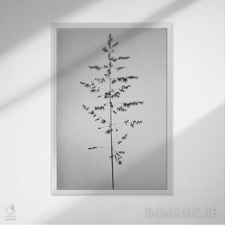 تابلو دکوراتیو در میان گل ها بیست و چهار اثر تیس آلبرس - نمای قابدار سفید