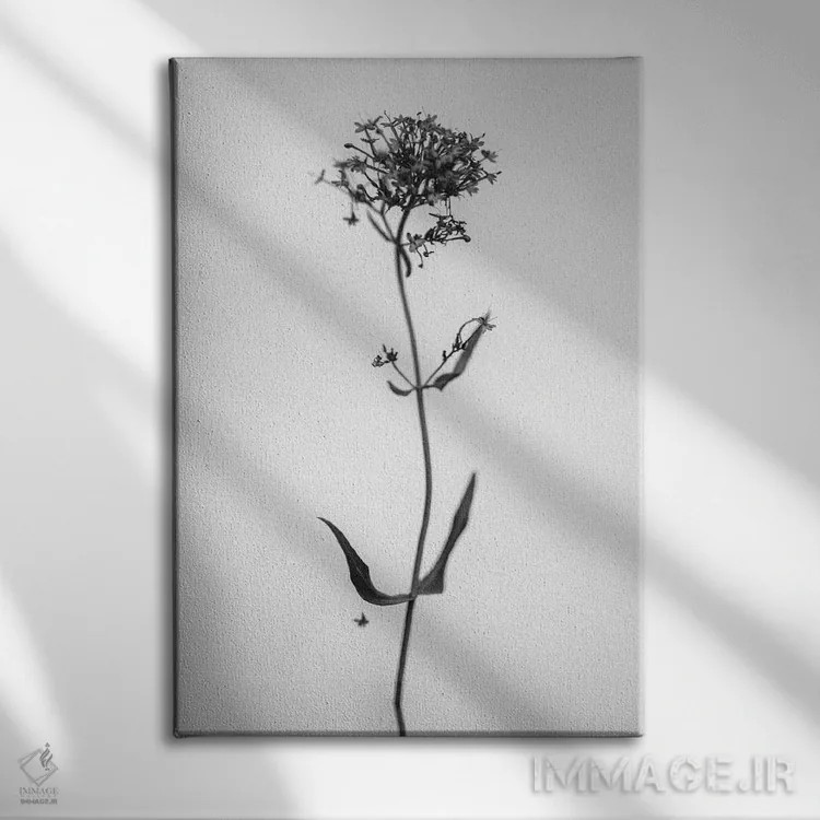 تابلو دکوراتیو در میان گل ها بیست و هفت اثر تیس آلبرس - نمای روبهرو روی دیوار