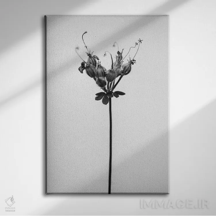 تابلو دکوراتیو در میان گل ها بیست و پنج اثر تیس آلبرس - نمای روبهرو روی دیوار
