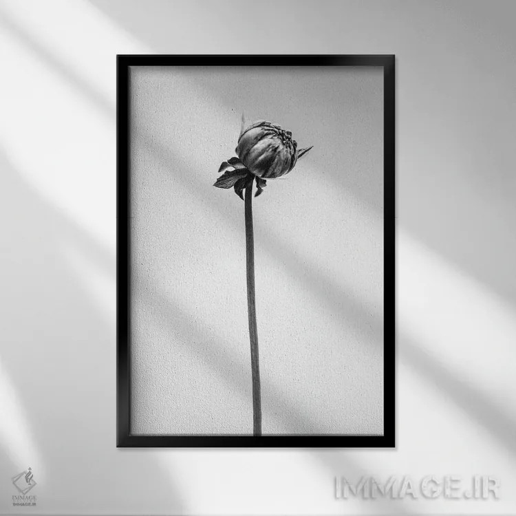 تابلو دکوراتیو در میان گل ها بیست و شش اثر تیس آلبرس - نمای قابدار مشکی