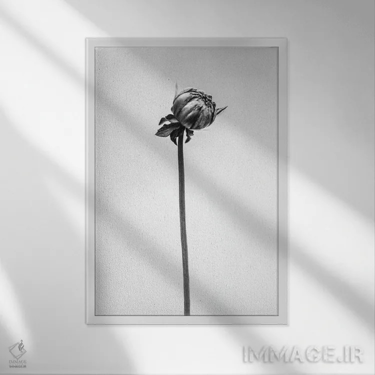 تابلو دکوراتیو در میان گل ها بیست و شش اثر تیس آلبرس - نمای قابدار سفید