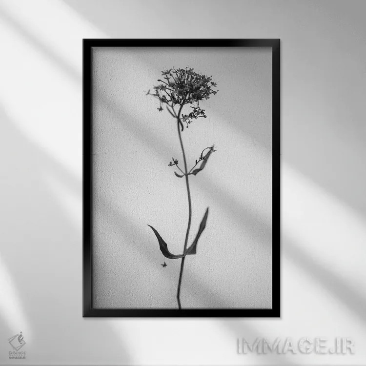 تابلو دکوراتیو در میان گل ها بیست و هفت اثر تیس آلبرس - نمای قابدار مشکی