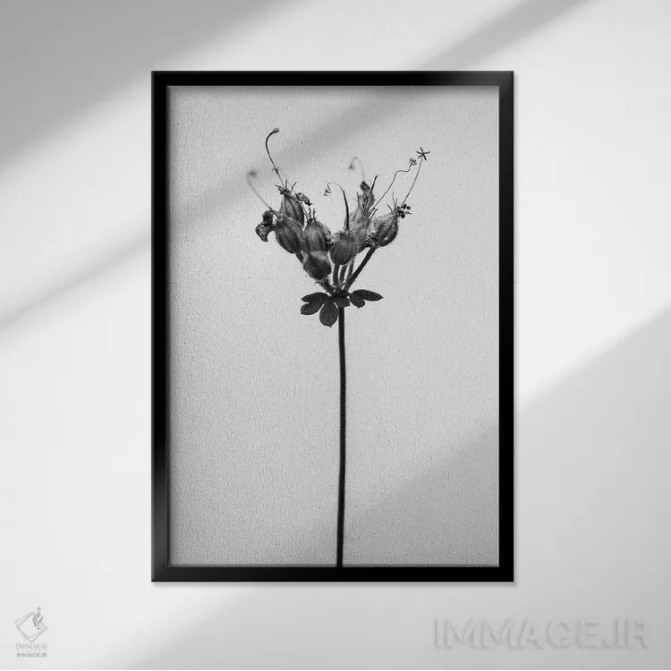 تابلو دکوراتیو در میان گل ها بیست و پنج اثر تیس آلبرس - نمای قابدار مشکی