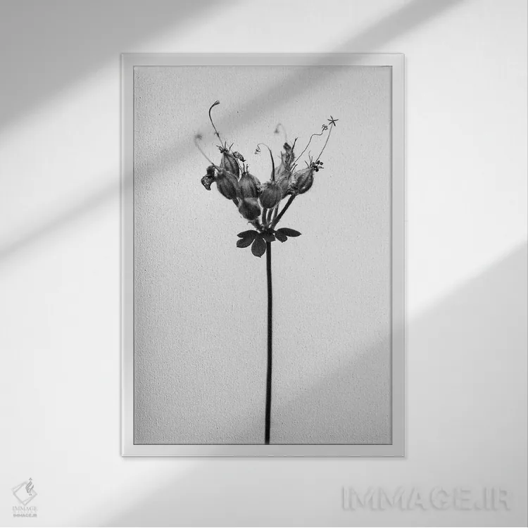 تابلو دکوراتیو در میان گل ها بیست و پنج اثر تیس آلبرس - نمای قابدار سفید