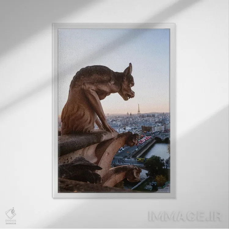 تابلو دکوراتیو Paris,گارگویل روی کلیسای نوتردام، پاریس اثر ماتئو کولومبو - نمای قابدار سفید
