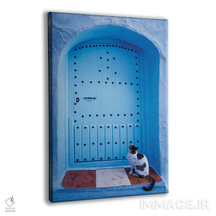 تابلو دکوراتیو Morocco,گربه و در آبی، مراکش اثر ماتئو کولومبو - نمای پرسپکتیو محصول