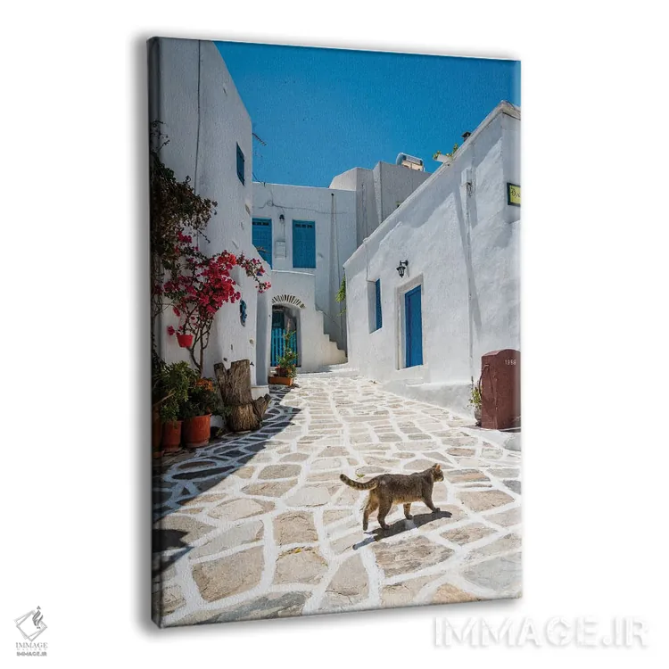 تابلو دکوراتیو Paros, Greece,گربه ای در حال قدم زدن در شهر سفید، پاروس… اثر ماتئو کولومبو - نمای پرسپکتیو محصول
