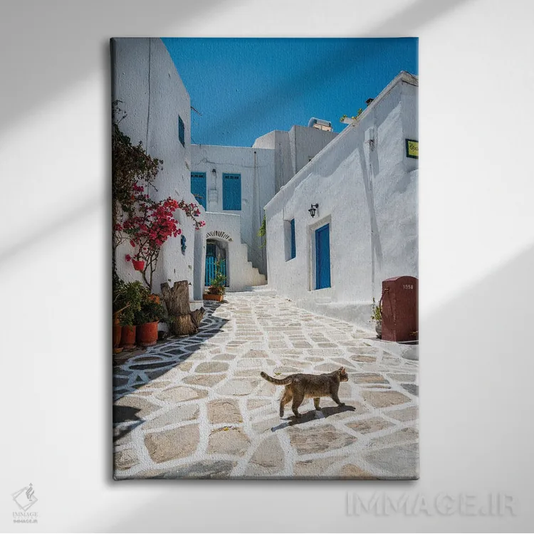 تابلو دکوراتیو Paros, Greece,گربه ای در حال قدم زدن در شهر سفید، پاروس… اثر ماتئو کولومبو - نمای روبهرو روی دیوار