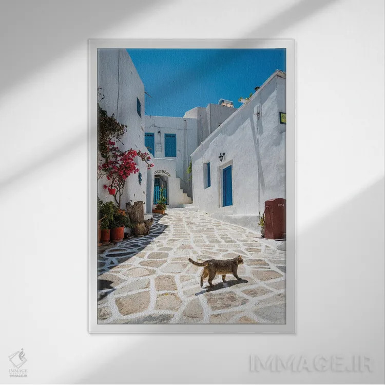 تابلو دکوراتیو Paros, Greece,گربه ای در حال قدم زدن در شهر سفید، پاروس… اثر ماتئو کولومبو - نمای قابدار سفید