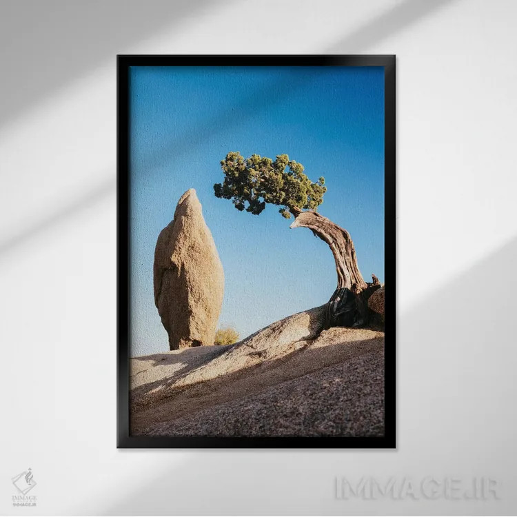 تابلو دکوراتیو صخره تعادل و یک درخت جونیپر تنها، پارک ملی جاشوا تری، کال… اثر ماتئو کولومبو - نمای قابدار مشکی