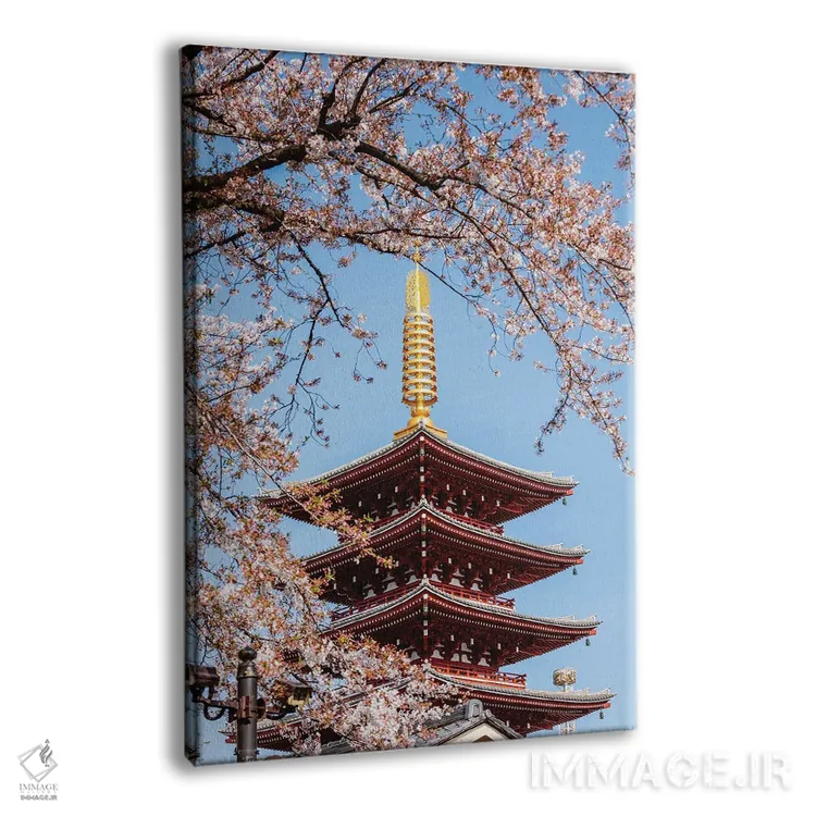 تابلو دکوراتیو Tokyo, Japan,پاگودای پنج طبقه و شکوفه های گیلاس، توکیو، ژ… اثر ماتئو کولومبو - نمای پرسپکتیو محصول