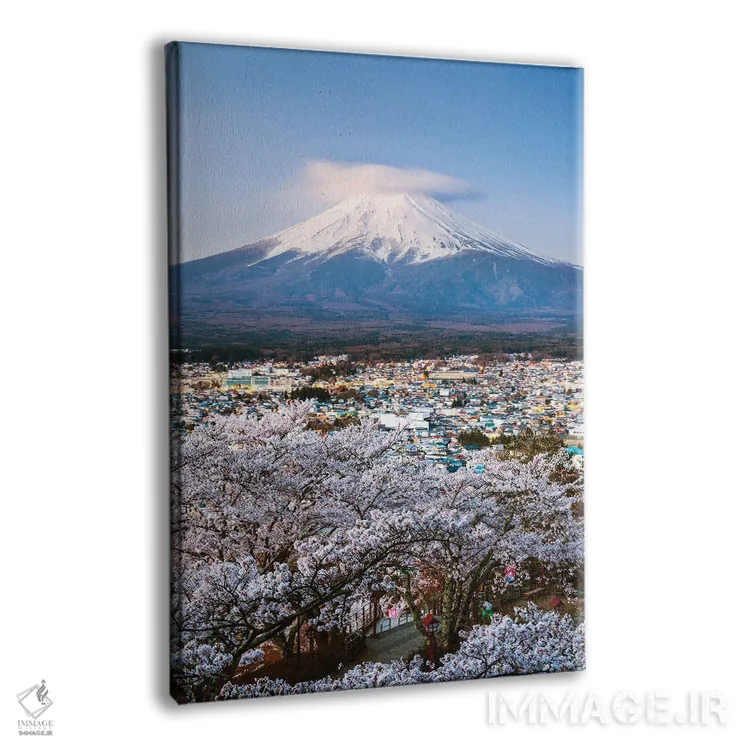 تابلو دکوراتیو Japan,طلوع آفتاب بر فراز کوه فوجی و درختان گیلاس، ژاپن اثر ماتئو کولومبو - نمای پرسپکتیو محصول