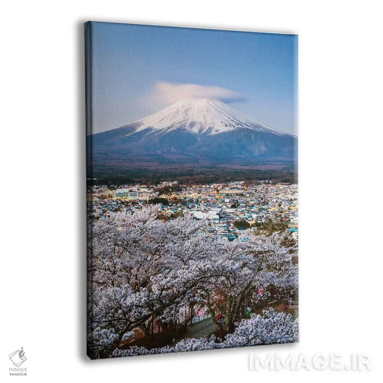 تابلو دکوراتیو Japan,طلوع آفتاب بر فراز کوه فوجی و درختان گیلاس، ژاپن اثر ماتئو کولومبو - نمای پرسپکتیو محصول