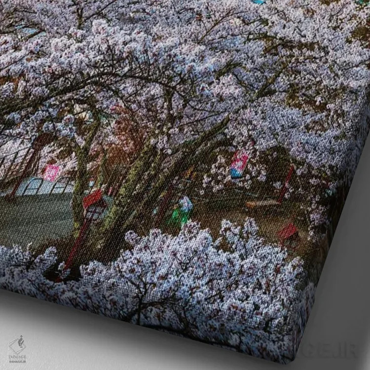 تابلو دکوراتیو Japan,طلوع آفتاب بر فراز کوه فوجی و درختان گیلاس، ژاپن اثر ماتئو کولومبو - نمای نزدیک بافت بوم