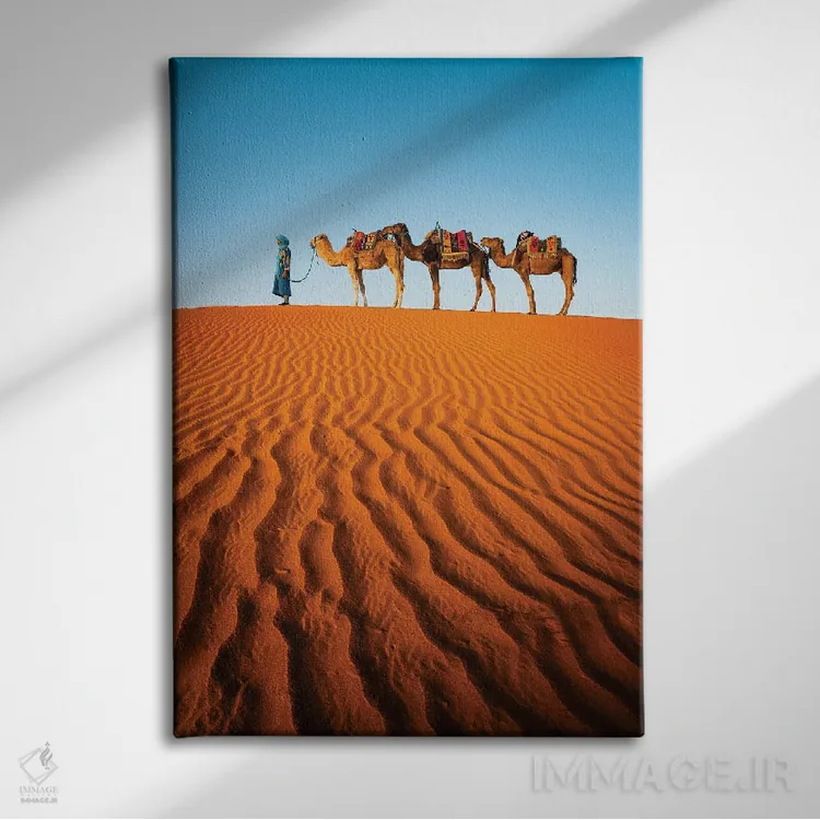 تابلو دکوراتیو Morocco,شترها در بیابان، مراکش اثر ماتئو کولومبو - نمای روبهرو روی دیوار