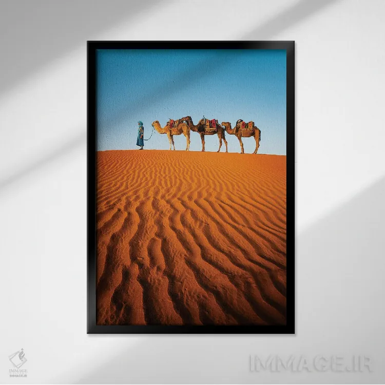 تابلو دکوراتیو Morocco,شترها در بیابان، مراکش اثر ماتئو کولومبو - نمای قابدار مشکی