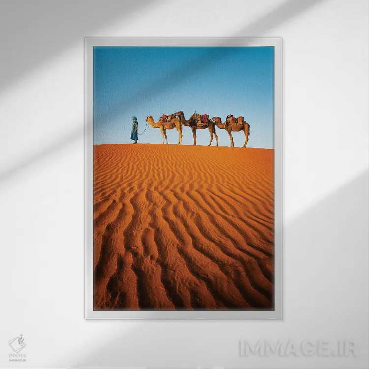 تابلو دکوراتیو Morocco,شترها در بیابان، مراکش اثر ماتئو کولومبو - نمای قابدار سفید