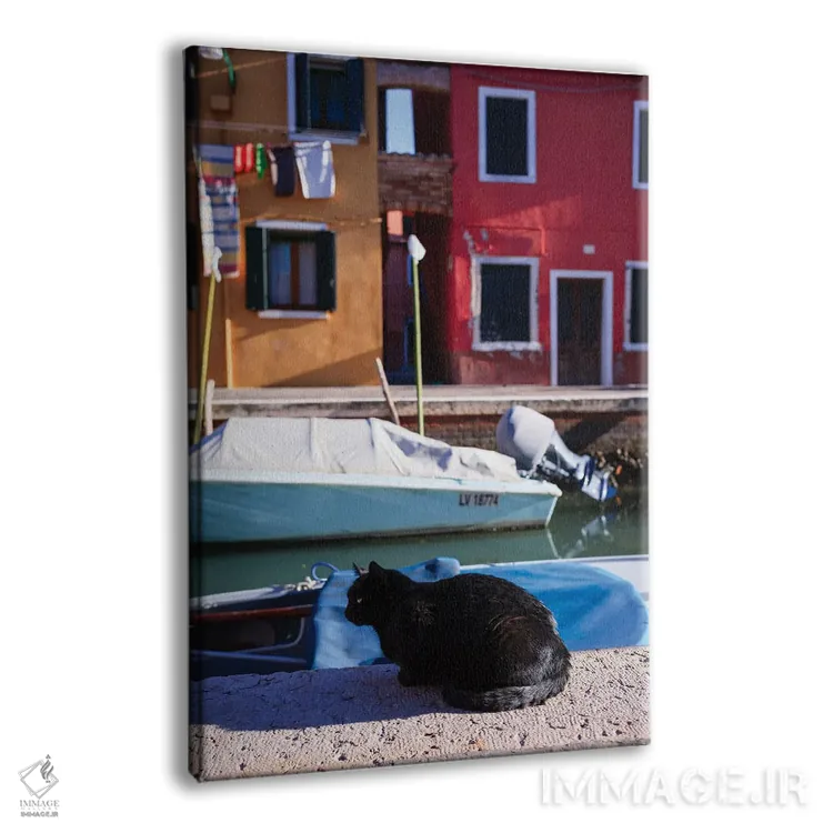 تابلو دکوراتیو Burano Island, Venice, Italy,گربه سیاه کنار کانال، جزیره… اثر ماتئو کولومبو - نمای پرسپکتیو محصول