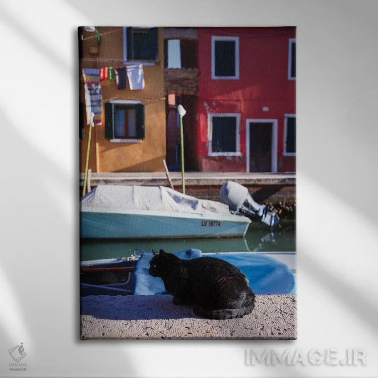 تابلو دکوراتیو Burano Island, Venice, Italy,گربه سیاه کنار کانال، جزیره… اثر ماتئو کولومبو - نمای روبهرو روی دیوار