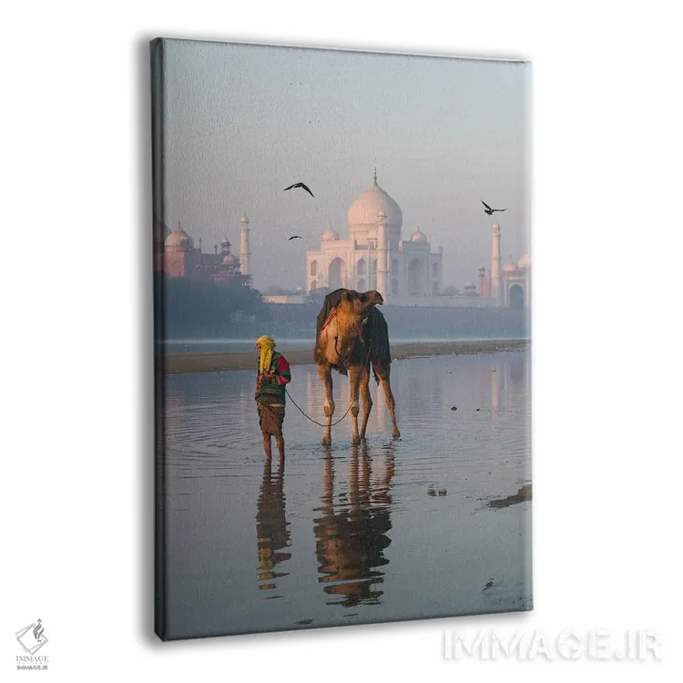 تابلو دکوراتیو India II,تاج محل و شتر، هند اثر ماتئو کولومبو - نمای پرسپکتیو محصول