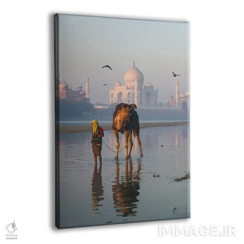 تابلو دکوراتیو India II,تاج محل و شتر، هند اثر ماتئو کولومبو - نمای پرسپکتیو محصول
