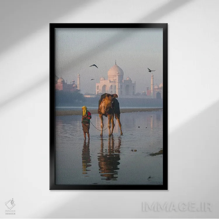 تابلو دکوراتیو India II,تاج محل و شتر، هند اثر ماتئو کولومبو - نمای قابدار مشکی