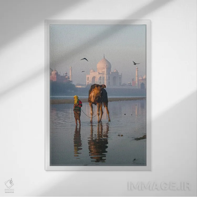 تابلو دکوراتیو India II,تاج محل و شتر، هند اثر ماتئو کولومبو - نمای قابدار سفید