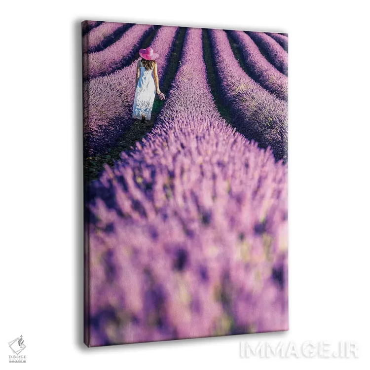 تابلو دکوراتیو Provence,زنی در مزرعه اسطوخودوس، پروانس اثر ماتئو کولومبو - نمای پرسپکتیو محصول