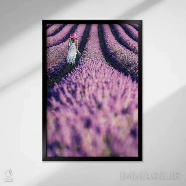 تابلو دکوراتیو Provence,زنی در مزرعه اسطوخودوس، پروانس اثر ماتئو کولومبو - نمای قابدار مشکی