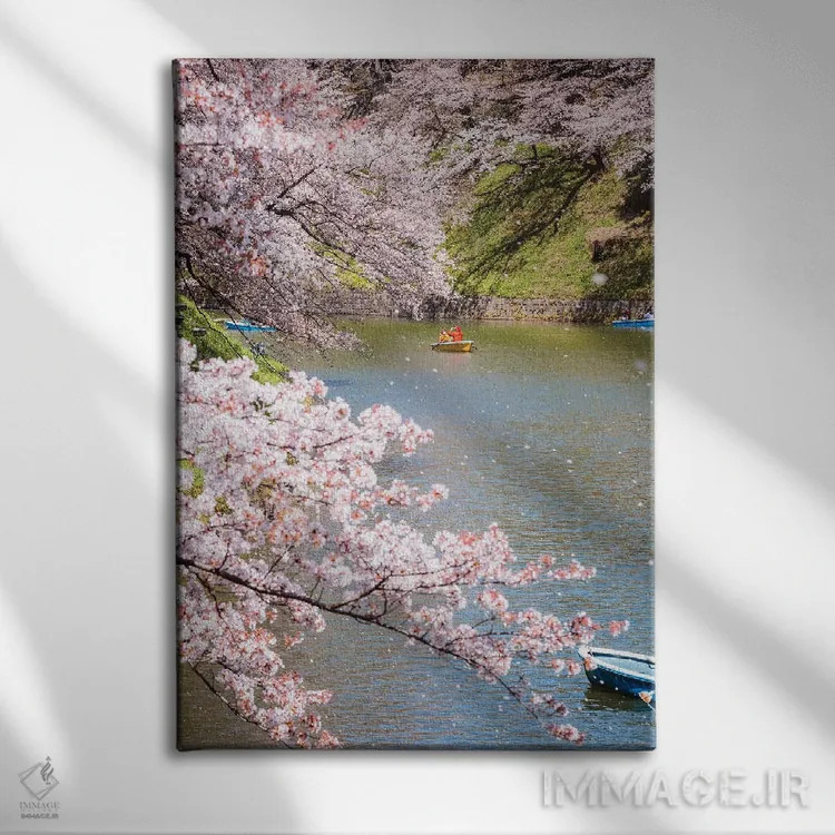 تابلو دکوراتیو Japan III,شکوفه گیلاس در توکیو، ژاپن III اثر ماتئو کولومبو - نمای روبهرو روی دیوار