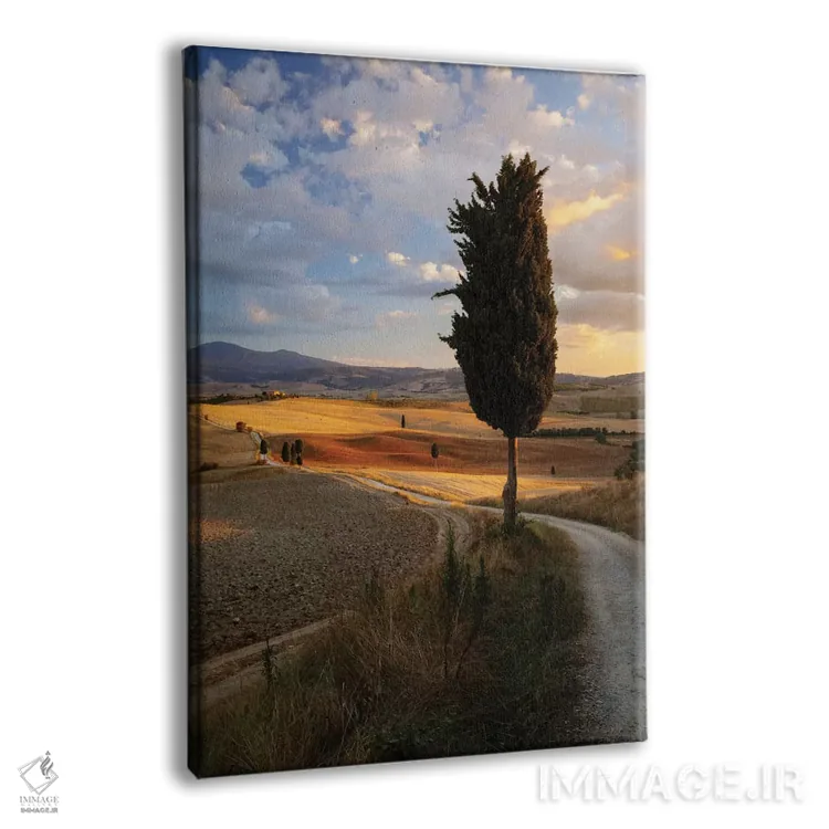 تابلو دکوراتیو Val d'Orcia, Tuscany, Italy,غروب روستایی، واله دورچیا، تو… اثر ماتئو کولومبو - نمای پرسپکتیو محصول