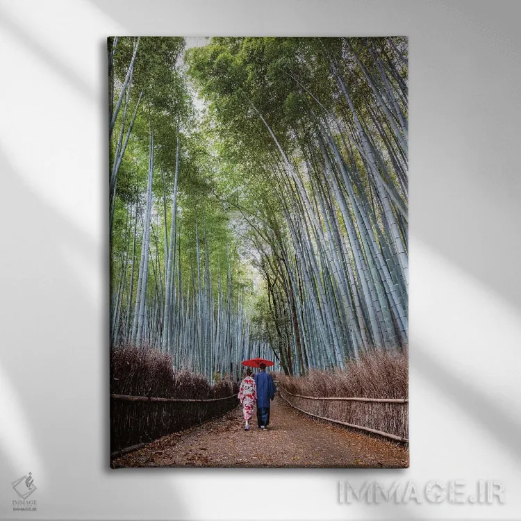 تابلو دکوراتیو Kyoto II,زوج ژاپنی در جنگل آرش یاما، کیوتو II اثر ماتئو کولومبو - نمای روبهرو روی دیوار