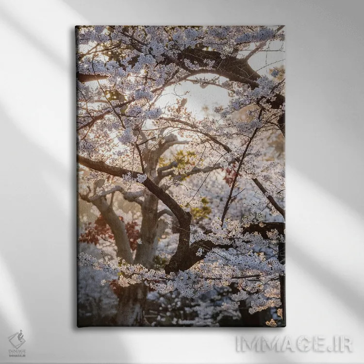 تابلو دکوراتیو Tokyo, Japan,درخت گیلاس، توکیو، ژاپن اثر ماتئو کولومبو - نمای روبهرو روی دیوار