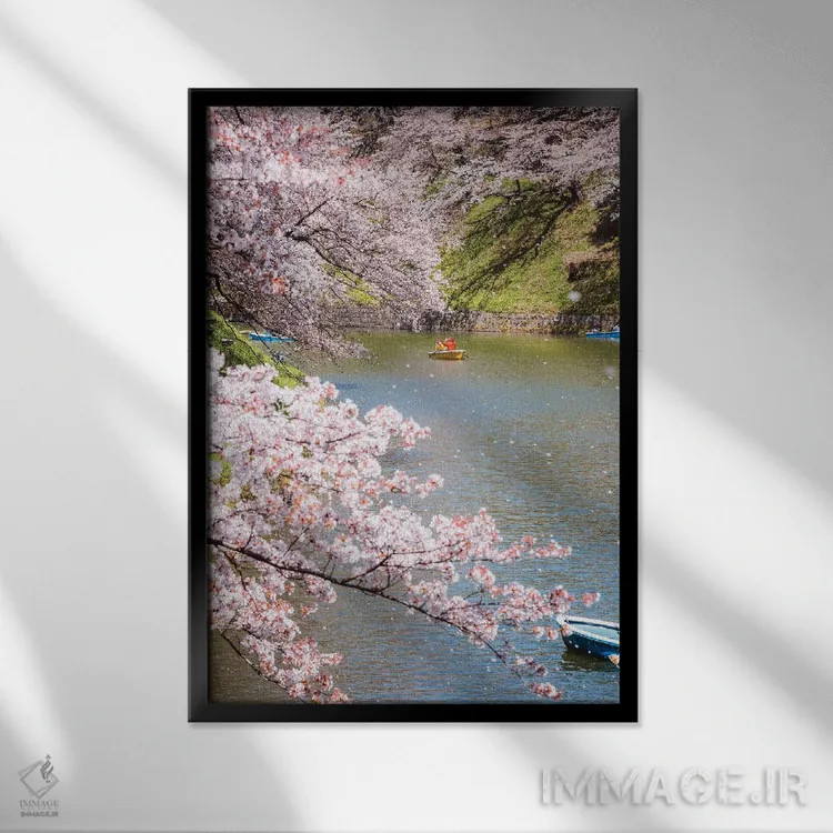 تابلو دکوراتیو Japan III,شکوفه گیلاس در توکیو، ژاپن III اثر ماتئو کولومبو - نمای قابدار مشکی