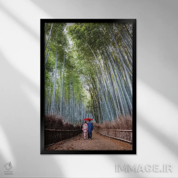 تابلو دکوراتیو Kyoto II,زوج ژاپنی در جنگل آرش یاما، کیوتو II اثر ماتئو کولومبو - نمای قابدار مشکی